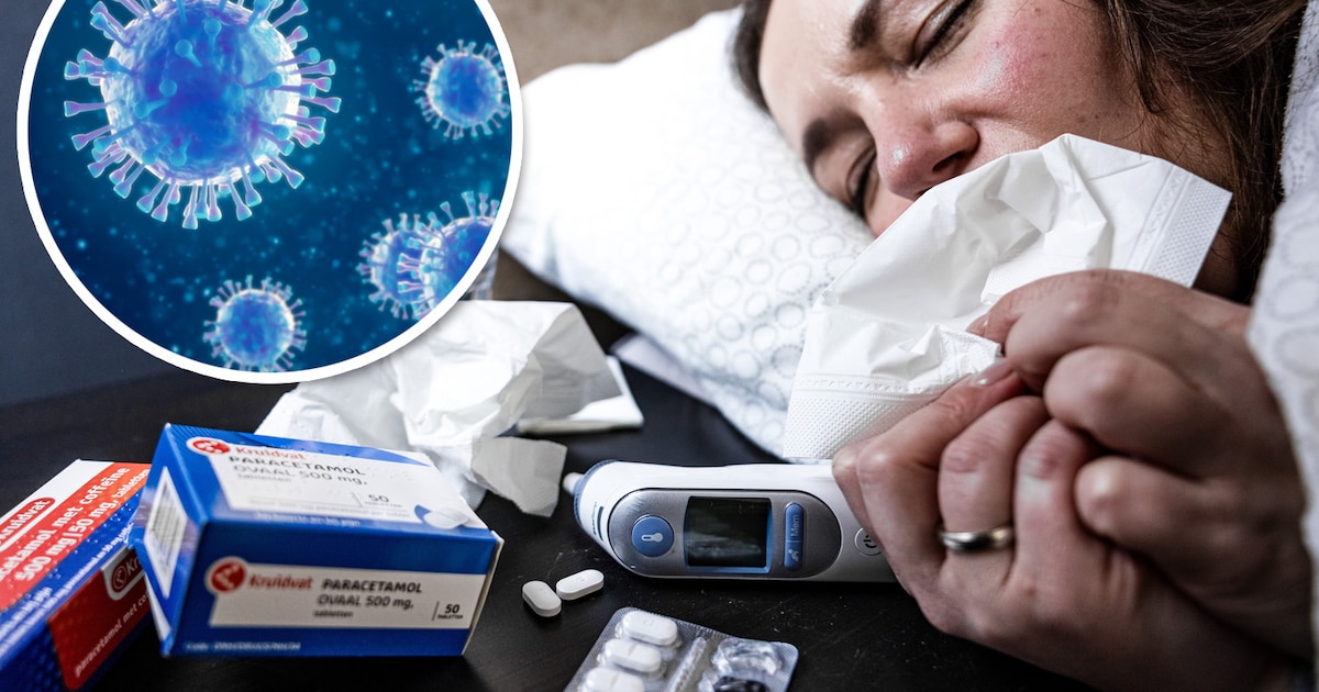 Ziekenhuizen zetten zich schrap voor de ‘supergriep’: vrees voor veel oversterfte