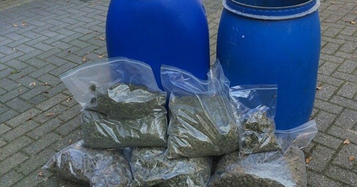 6 kilo wiet gevonden in Arnhemse woning