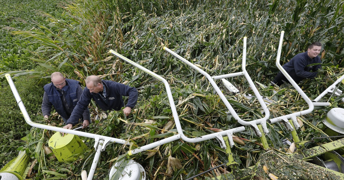 Slagveld op de akkers na de helse storm