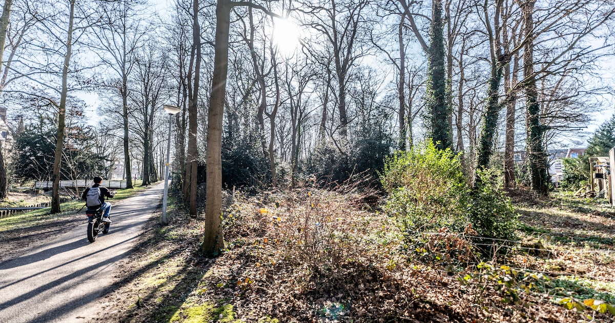Bebouwen of niet? Dit willen de Wijchense partijen met het Sterrebos