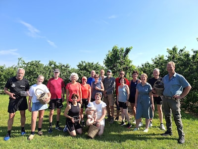 ‘Runners’ proeven kersen in Ommeren en slotconcert in Veense sigarenfabriek