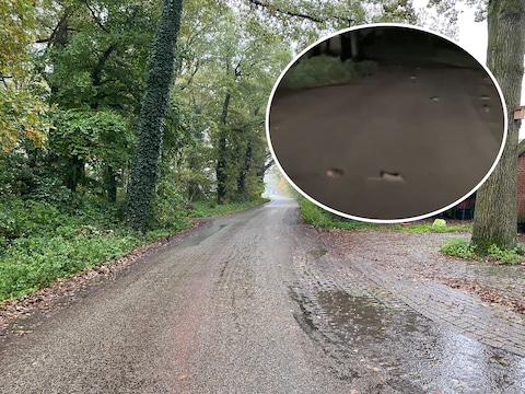 De Hertmerweg in Hertme. Overdag lijkt er geen vuiltje aan de lucht, maar zodra het donker wordt komen er tientallen ratten tevoorschijn.
