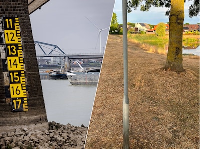 Honderd dagen laagwater in de rivieren: de gevolgen zijn ongekend