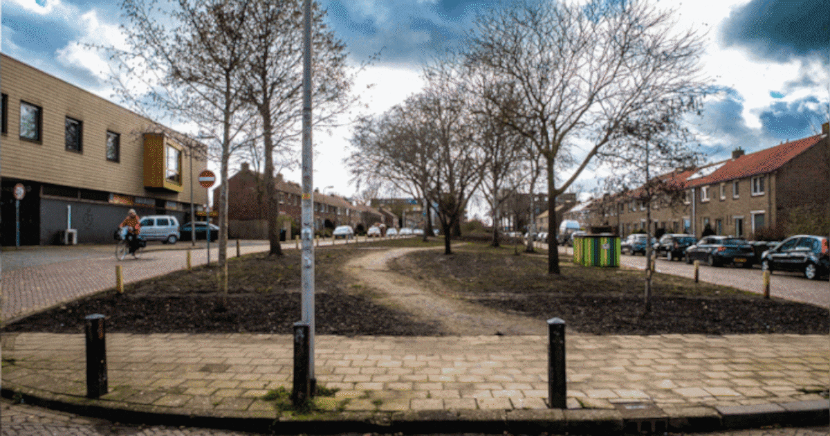 En ineens is de groene buurttuin weg: ‘Mijn hemel, wat is hier gebeurd?’