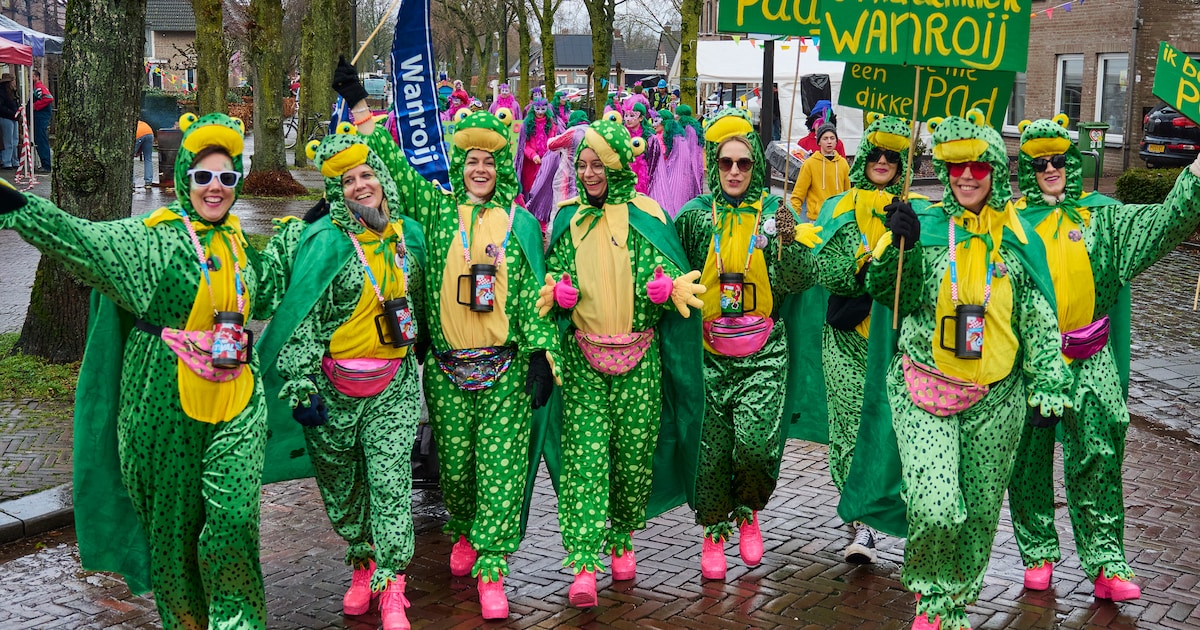 Bekijk de foto’s van de optocht in Boekel en Venhorst
