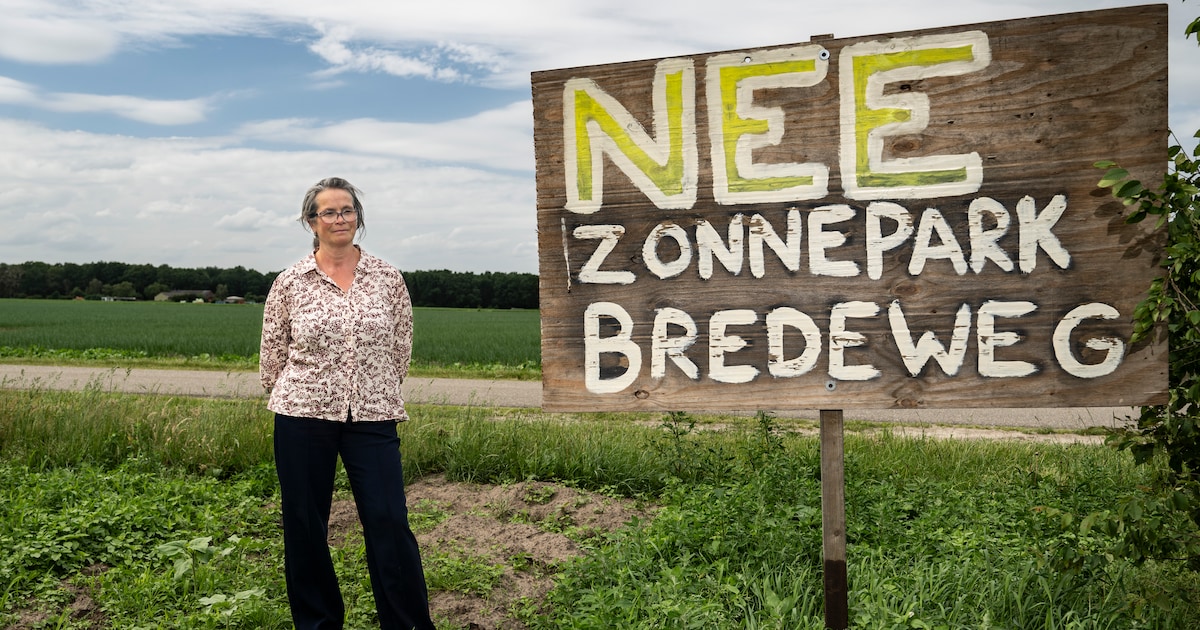 Streep door zonnepark Maashees: ‘De kritiek was niet mals’ | Regio | De ...