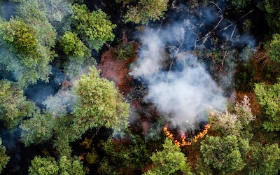 Drone is een must bij bestrijden natuurbrand: ‘Geeft overzicht en meet grondtemperatuur’