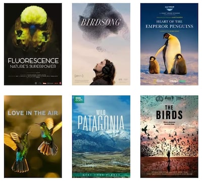 Bijzondere natuurfilms krijgen podium in Visum Mundi in Wageningen: ‘Een week lang genieten van biod