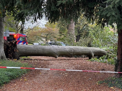 LIVE storm Austen | Eerste schade door storm gemeld, bekijk hier wanneer het noodweer jouw regio bereikt