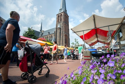 ‘Velp’ snakt naar een nieuw bestuur: ‘Eind dit jaar stopt écht alles, straks hangt er nog geen plantenbakje’