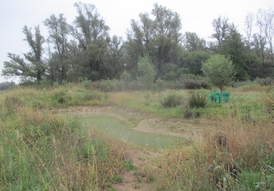 Fietsexcursie naar Park Het Laar in Warm