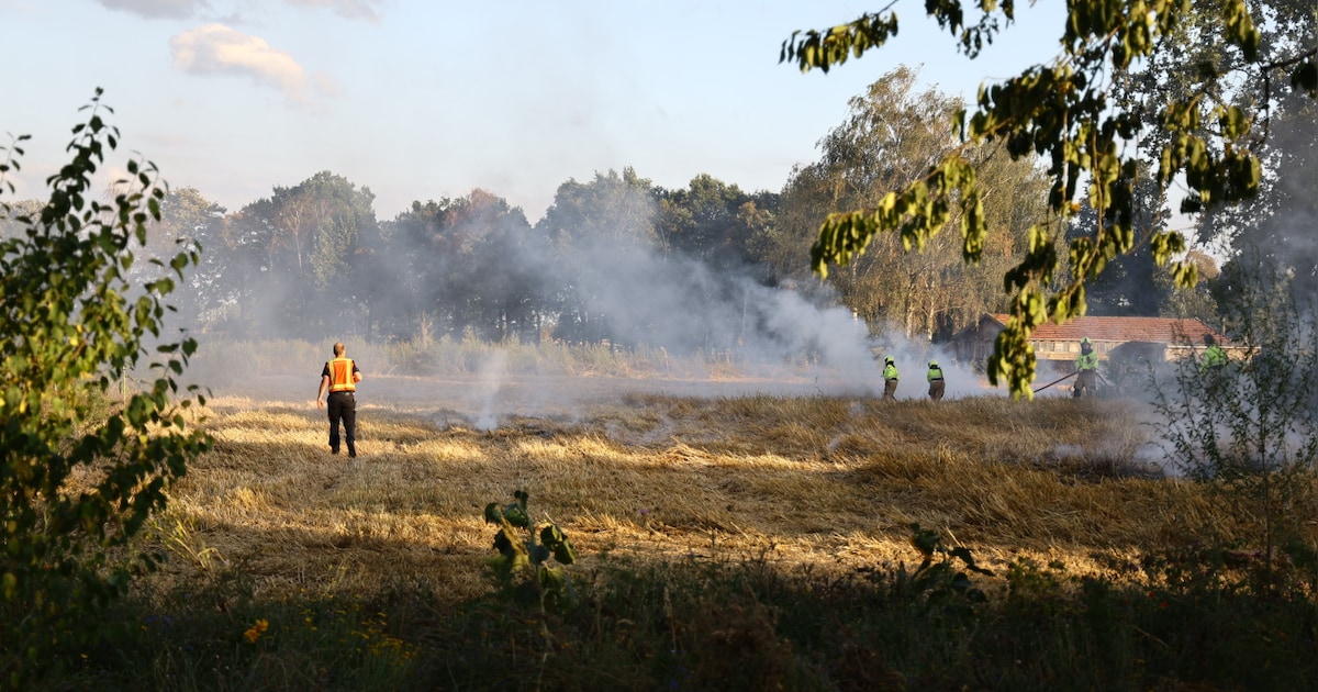 Brandweer grijpt op tijd in bij akkerbrand in Sint Anthonis