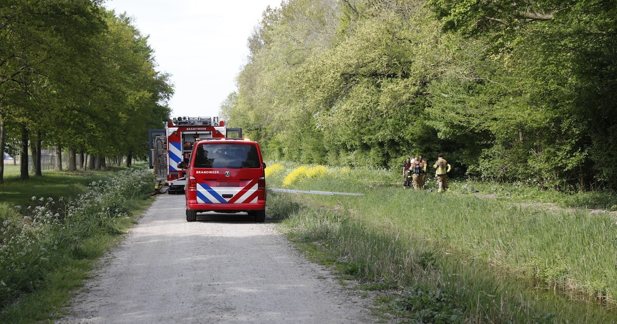 Brandweer kan met moeite bij brandend bos in Klundert