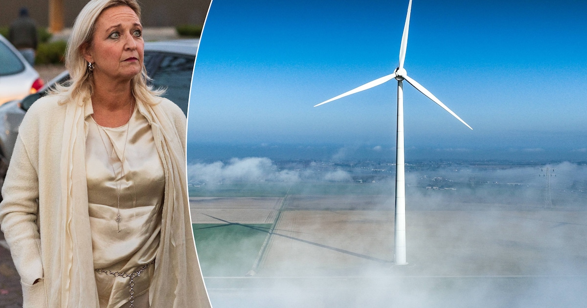 Waalwijk begint na BD-artikel eigen onderzoek naar windpark en belangenverstrengeling