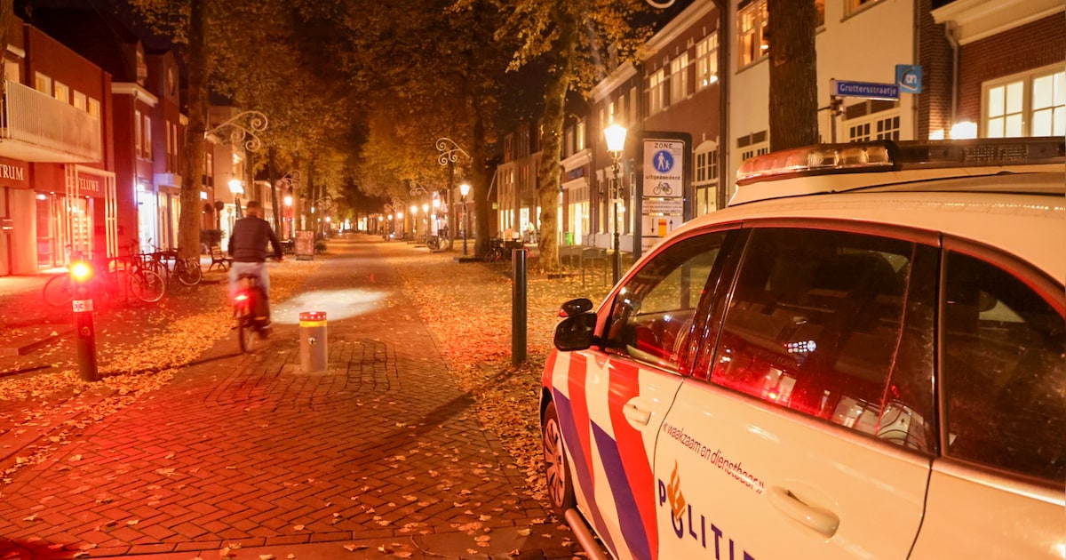 Duo probeert voor groot bedrag aan cosmetica te stelen, maar loopt tegen de lamp in Lunteren