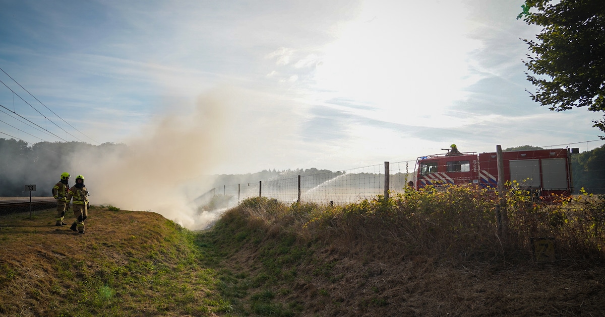Bermbrand hindert treinverkeer tussen Arnhem en Dieren