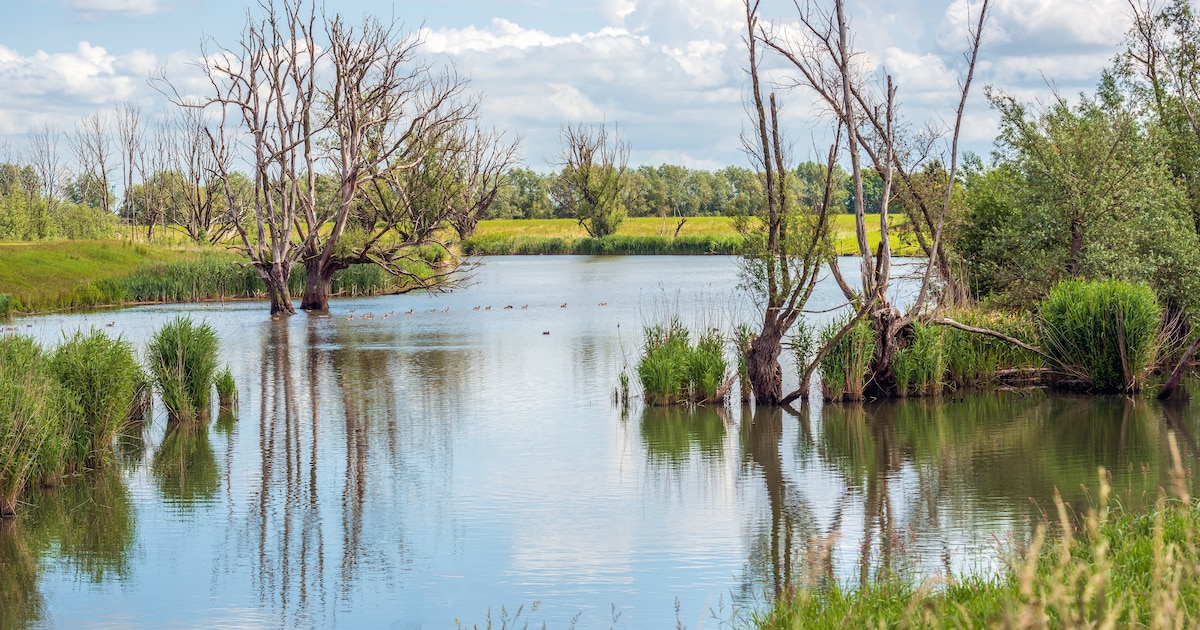 Nieuwe ecologische verbindingszone in Klundert versterkt natuur
