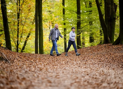 Na onstuimige herfststorm Boelo keert de rust terug: op de meeste plekken droog en zonnig