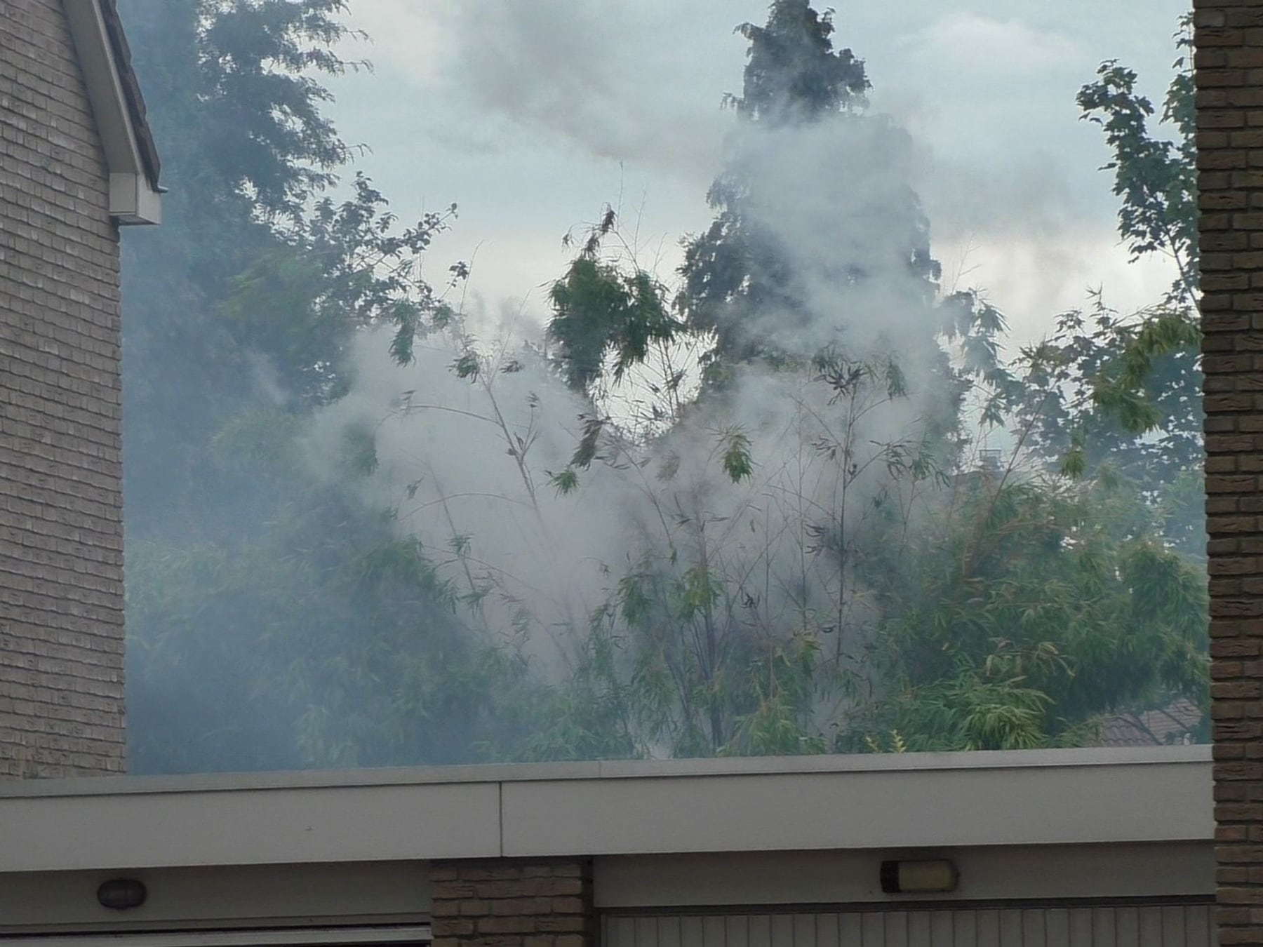 Boombrand in Oss zorgt voor flink wat rook in de buurt 