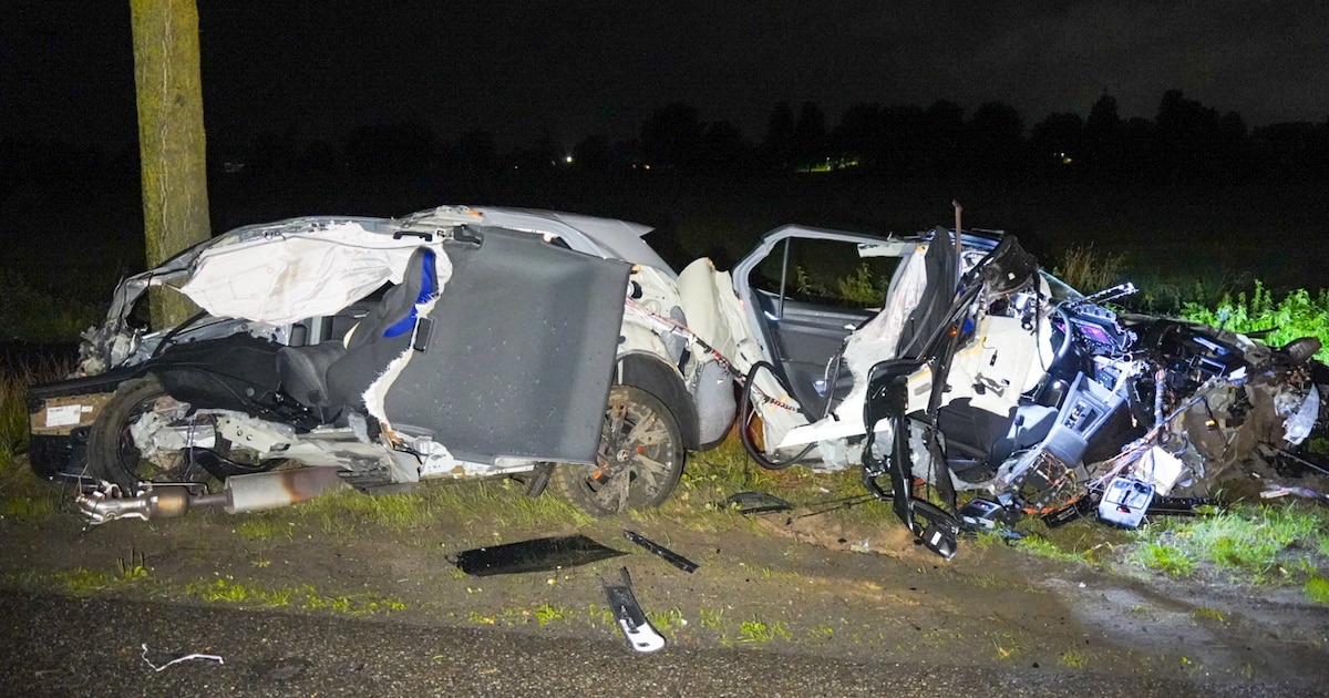 Bizar gezicht in Raalte: auto breekt doormidden door botsing met boom.