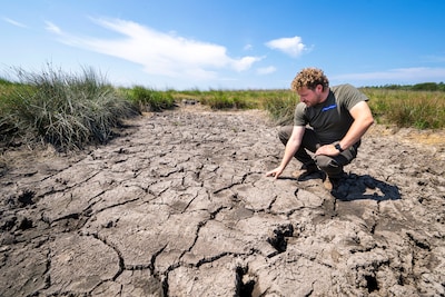 Al wekenlang hitte en die vreemde, harde wind: de Veluwe is razendsnel aan het uitdrogen