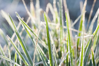 Van tropische hitte naar -0,1 graad in Twente: voor het eerst sinds 1971 nachtvorst in de hoogzomer