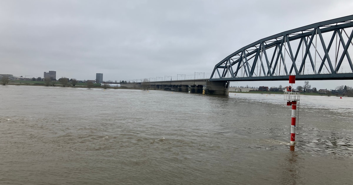 Waterpeil rivieren stijgt harder dan verwacht: donderdag mogelijk rijbaan Waalkade onder water