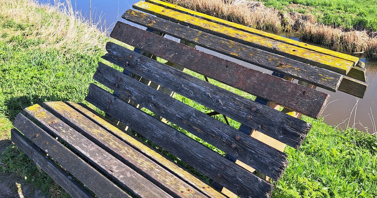 Dit is niet zomaar een bankje; hier heb je een ongeëvenaard uitzicht