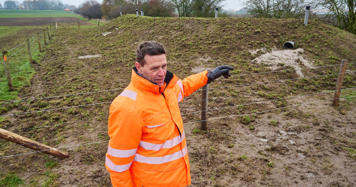 Bevers en dassen graven in dijken: waterschap bouwt luxe hotels om ramp ...