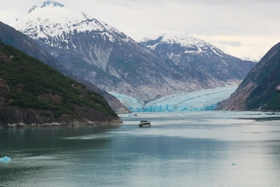 Op een na grootste tsunami ooit in fjord in Alaska: ‘Golf bereikte hoogte van 481 meter’