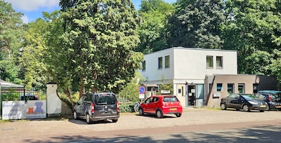 Exclusieve golfmiddag voor honden en katten van Dierentehuis Zeist