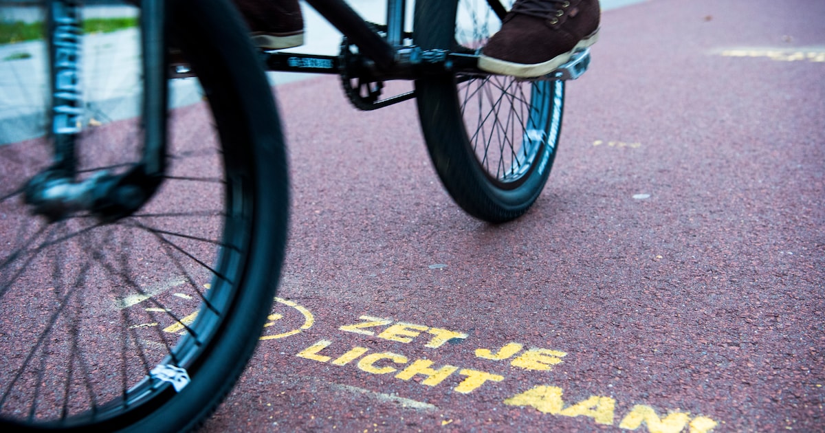 Gratis fietslichtreparatie op station Geldermalsen