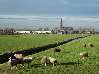 Fleur (26) woont uit nood in verbouwde schapenschuur van ouders: ‘Waarom mag je familieleden niet helpen?’