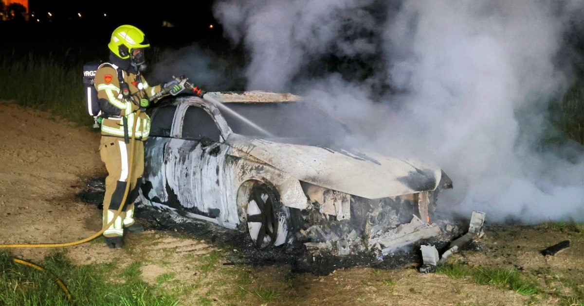 Auto op weiland in Echteld brandt volledig uit