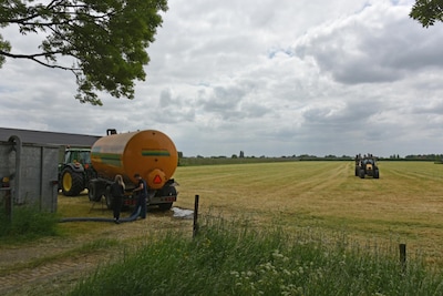 Provincie Utrecht geeft boeren twee jaar extra tijd voor aanpassing mestgebruik