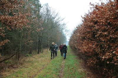 Winterwandeling Ruurlo: vier routes door bossen en zandwegen