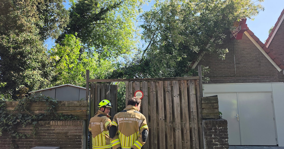Boom valt op voormalige snackbar in Wageningen