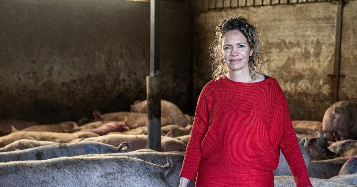 Níet Annemiek van Vleuten, níet Christianne van der Wal, maar boerin Marieke van Beers uit Niftrik w