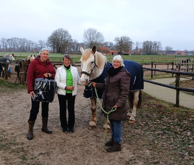 Dekens voor paard Pippa en kompanen en Bibi wint ‘sneeuwpop-straatprijs’