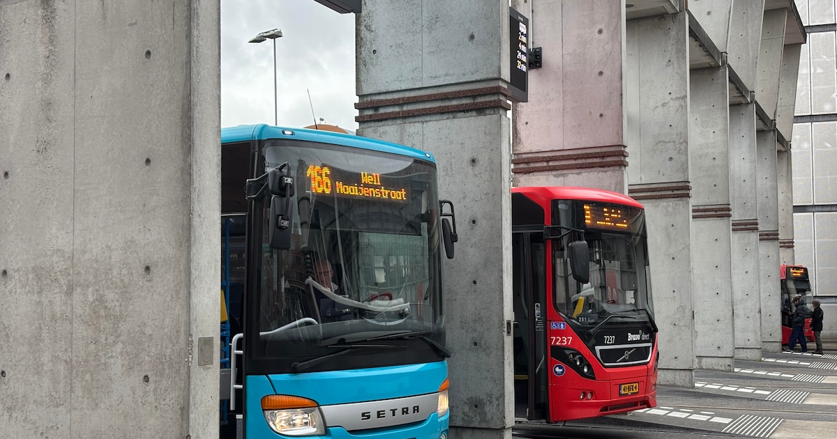 Start buslijn 166 van Den Bosch naar Zaltbommel uitgesteld: grote bus past niet bij station