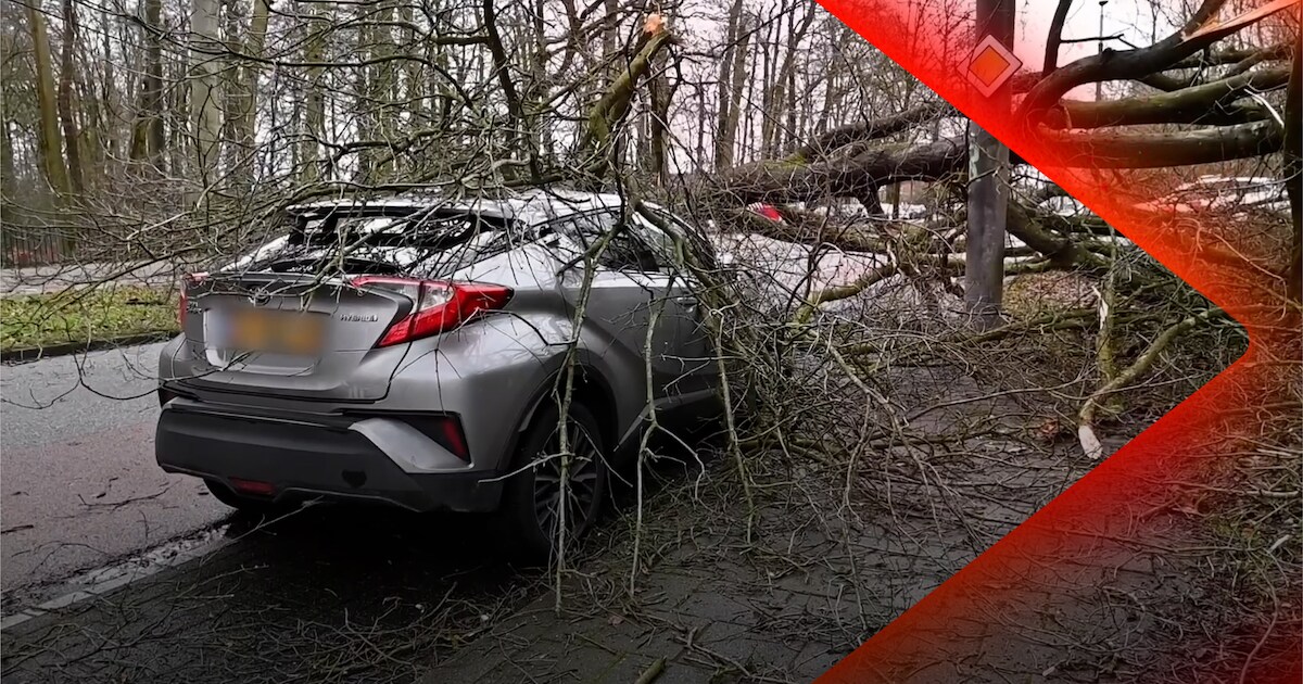 Chaos door storm Floriane • Bijzonder 'schouwspel' in Bemmel