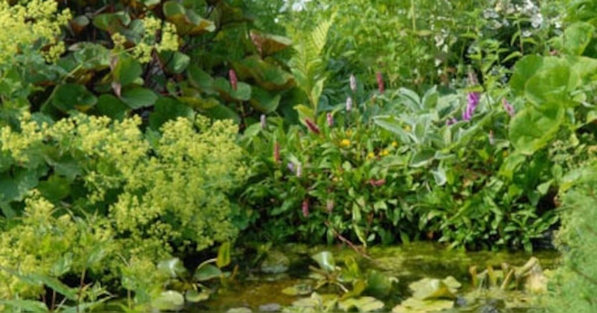 Tuinmarkt Hernen met open tuinen