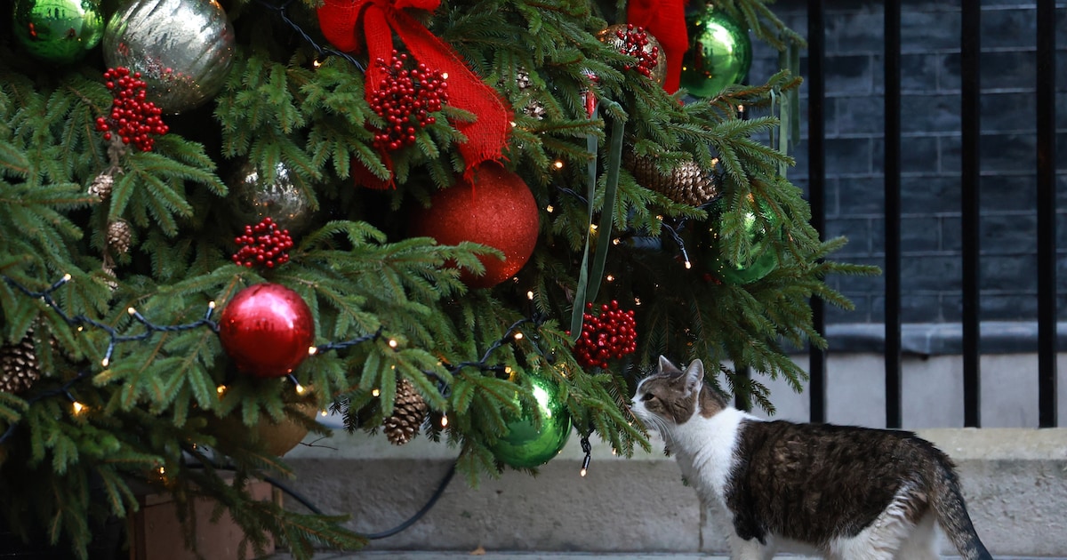 Serieus Request voor Dieren begint in Varsselder