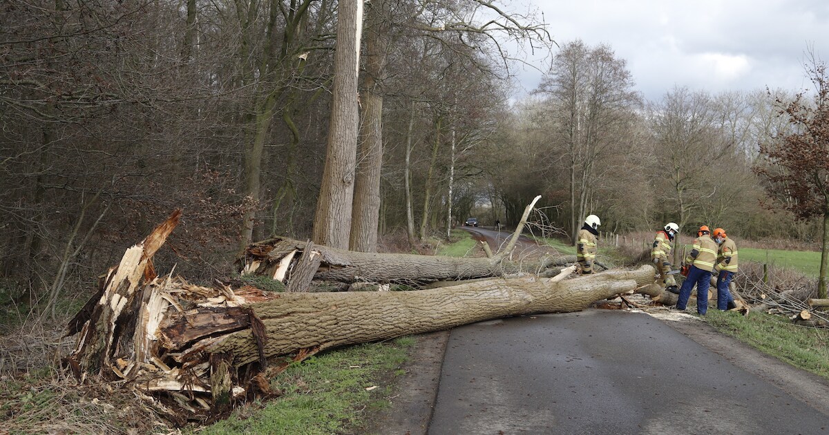 Bomen om in Vortum-Mullem, hijskraan in Beugen blijft staan