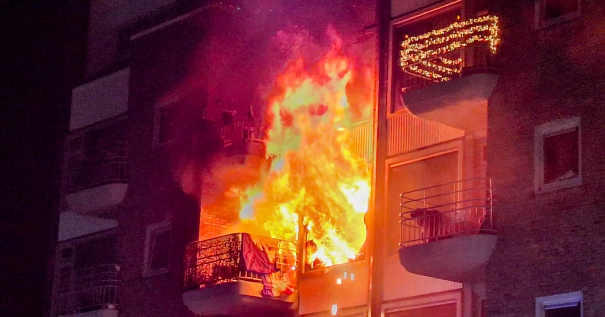 Vier bewoners en katten gered uit verwoestende brand in Amersfoort