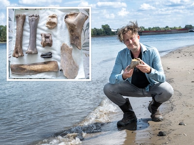 Jelmer vindt oude schatten langs het strand, maar ook zijn honden brengen bijzondere voorwerpen terug: ‘Die dildo heb ik maar laten liggen’