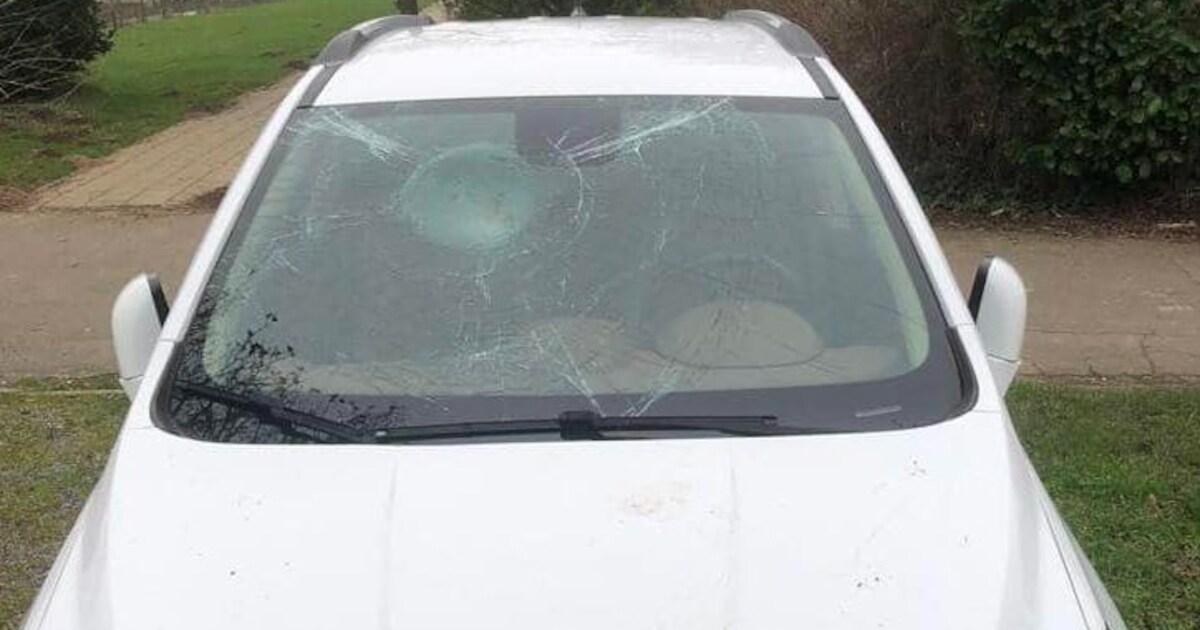 Vandalen op beeld, springend van auto naar auto in Haalderen: ‘Ze ...