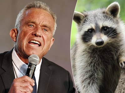 Nieuwe onthulling over obsessie met dode dieren van Amerikaanse minister: sneed ooit penis van wasbeer af