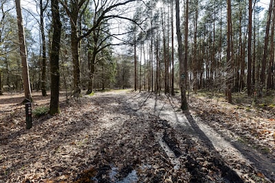 Afsluiting van Pieterpad roept veel reacties op: ‘Omleggen van zo’n mooie route kun je niet maken’