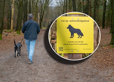 Nauwelijks incidenten meer met de wolf, maar toch wéér het hele jaar aanlijnplicht op de Utrechtse H